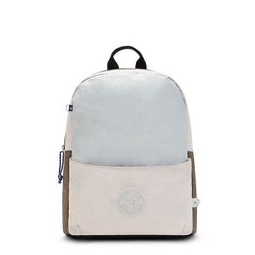 Kipling Sonnie 15" Backpack Laptoptassen Zilver Grijs | België 1545DF